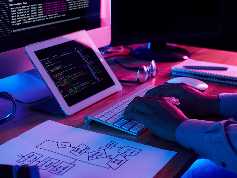 Desarrollo y diseño web en Puerto Vallarta: Lo que no debes olvidar